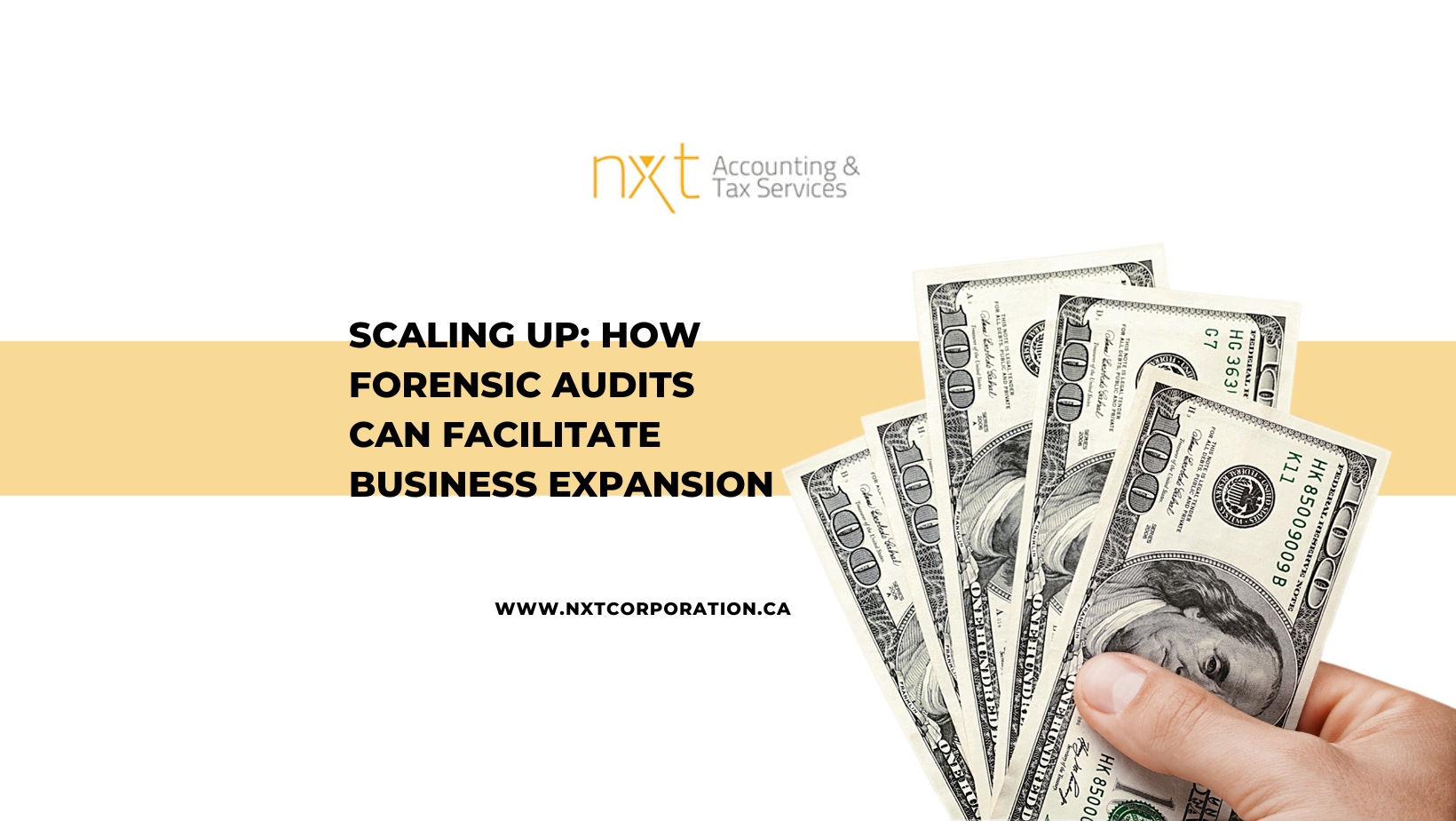 Scaling Up- How Forensic Audits Can Facilitate Business Expansion